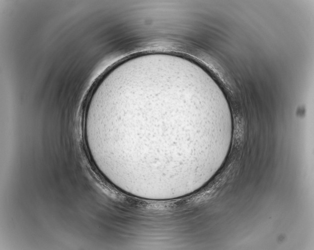 X0000098211078200805221622