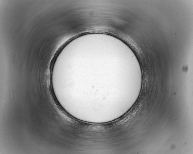 X0000098211079200805221622
