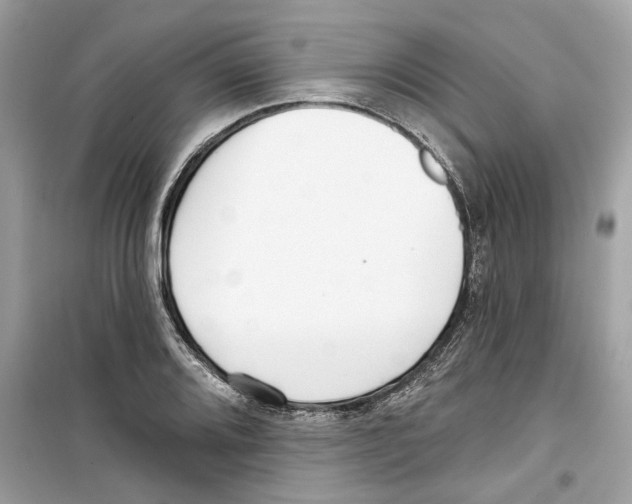 X0000098211080200805221622