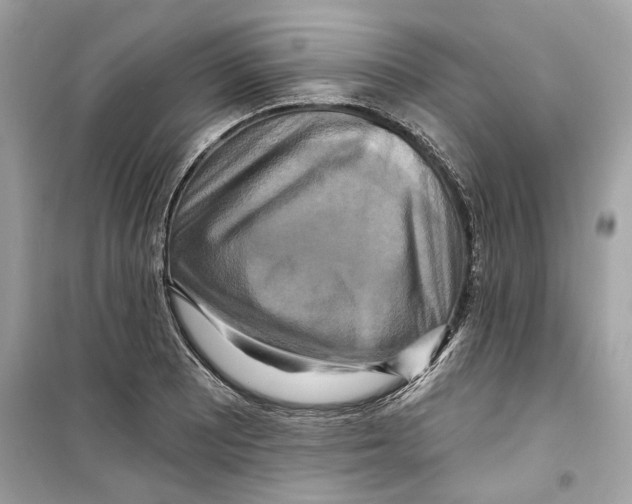 X0000098211081200805221622