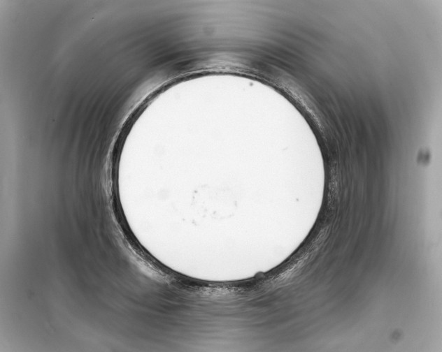 X0000098211082200805221622