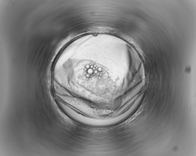 X0000098211083200805221622