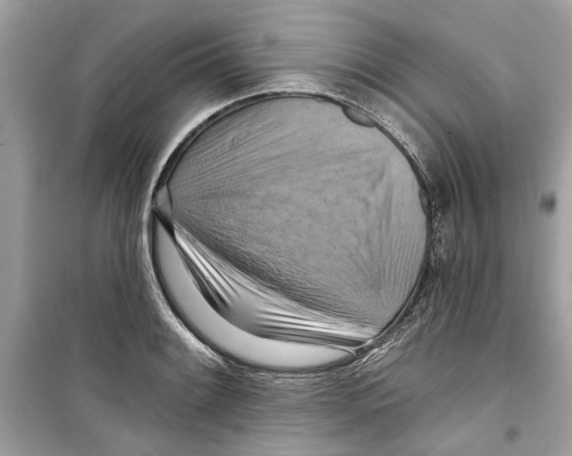 X0000098211084200805221622