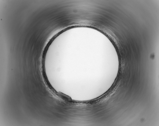 X0000098211085200805221622