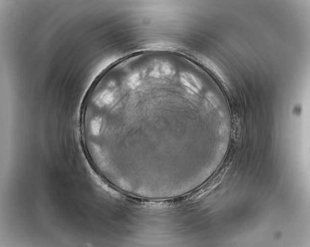 X0000098211087200805221622