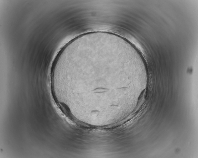X0000098211088200805221622