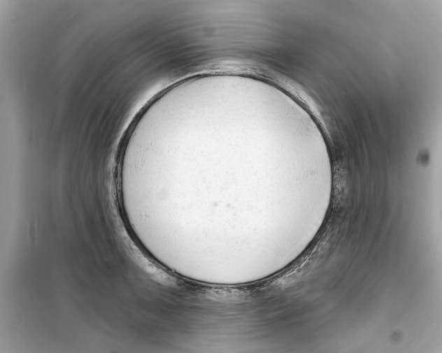 X0000098211091200805221622