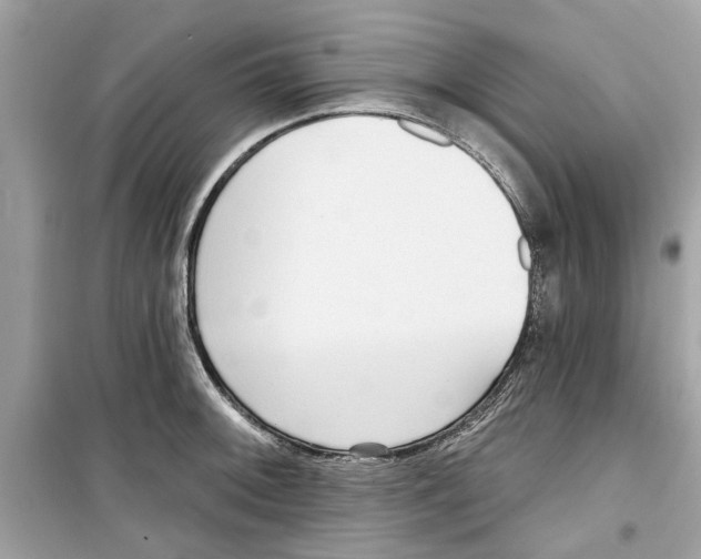 X0000098211092200805221622