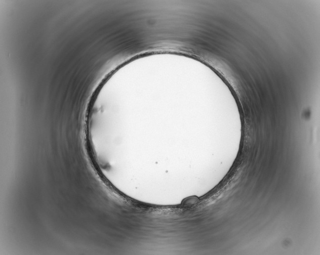 X0000098211093200805221622