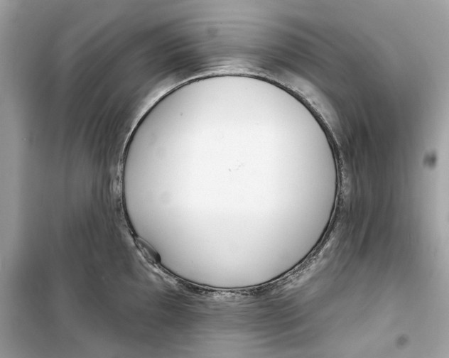 X0000098211097200805221622