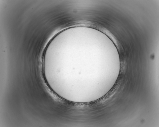 X0000098211099200805221622