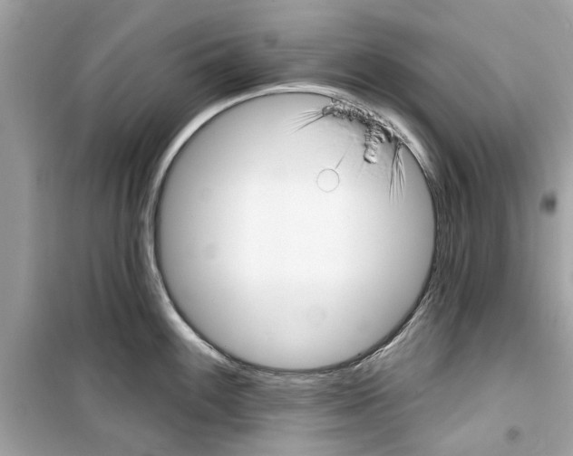 X0000098211100200805221622