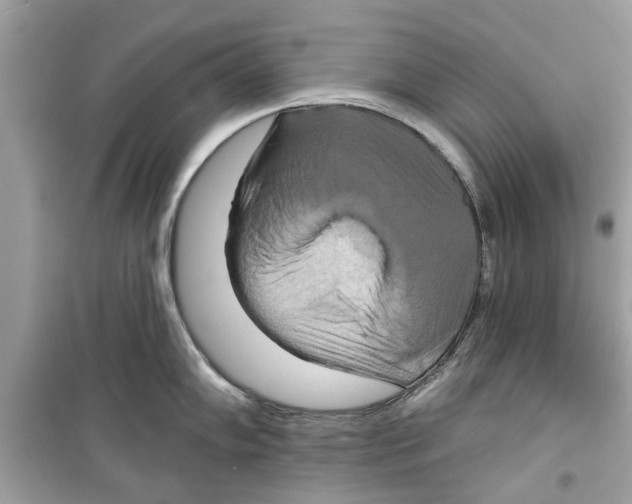 X0000098211102200805221622