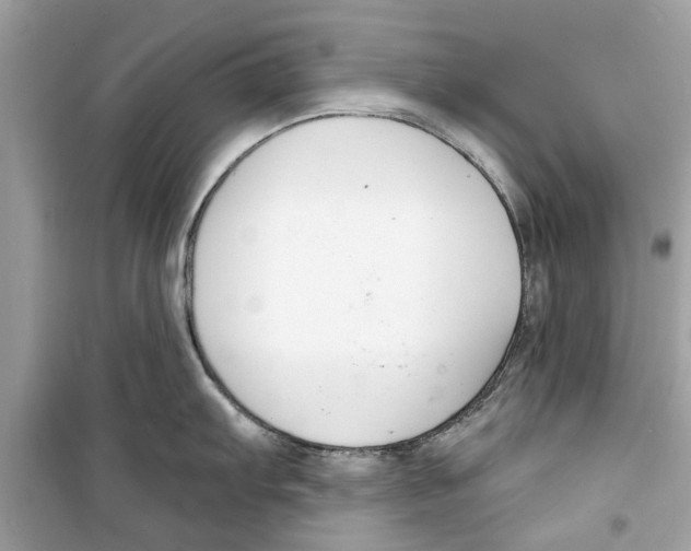 X0000098211103200805221622