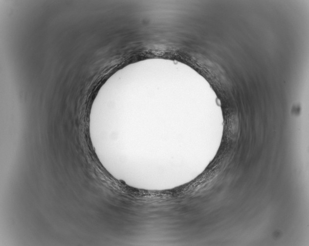 X0000098211105200805221621