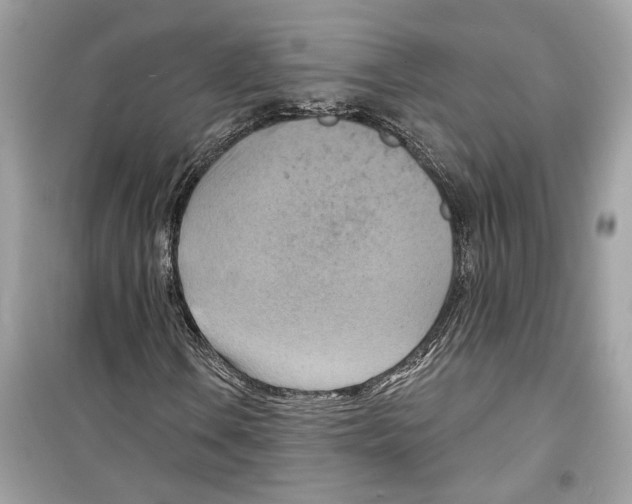 X0000098211106200805221621