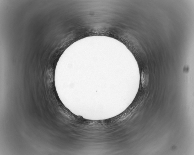X0000098211107200805221621