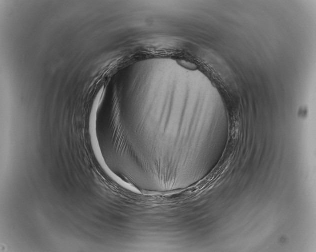 X0000098211108200805221621