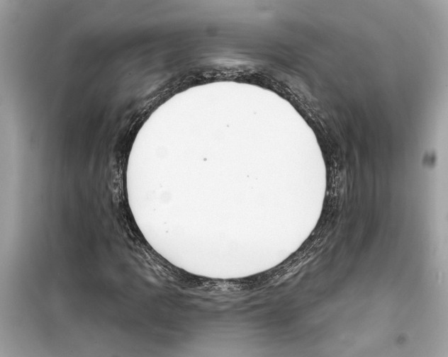 X0000098211109200805221621