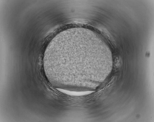 X0000098211110200805221621