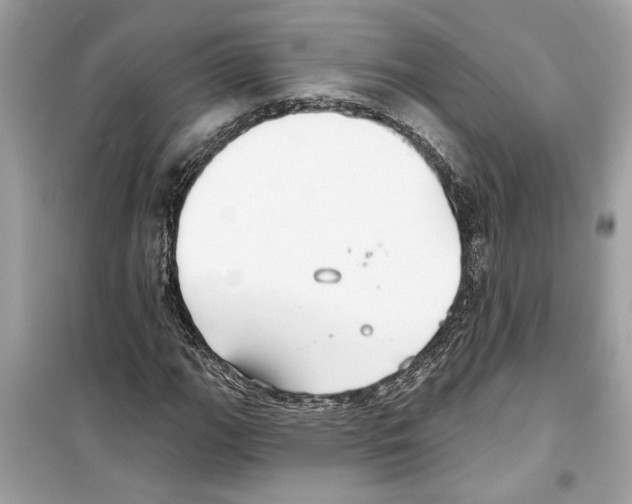 X0000098211111200805221621