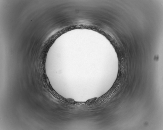 X0000098211112200805221621