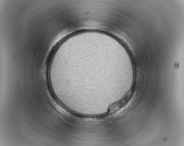 X0000098211114200805221621