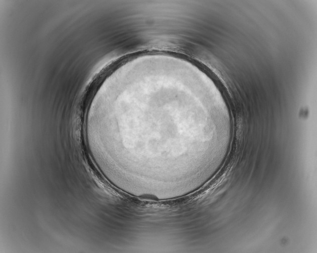 X0000098211115200805221621