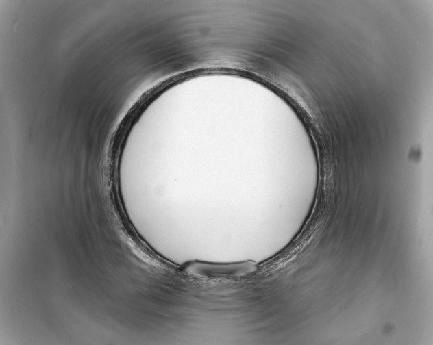 X0000098211116200805221621