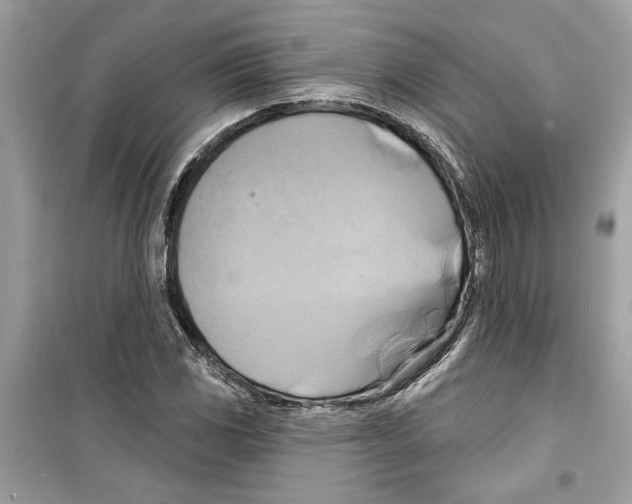 X0000098211117200805221621