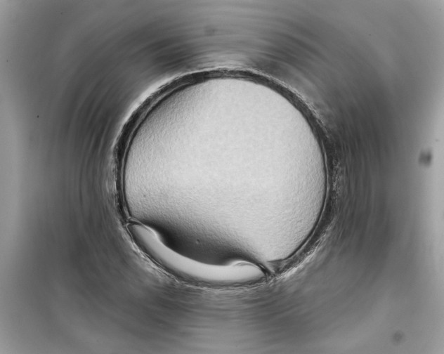 X0000098211118200805221621