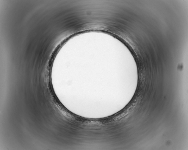 X0000098211119200805221621