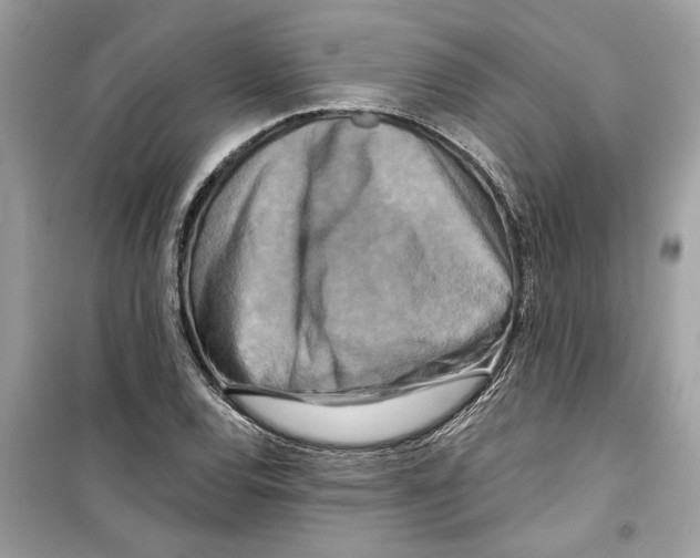 X0000098211120200805221621
