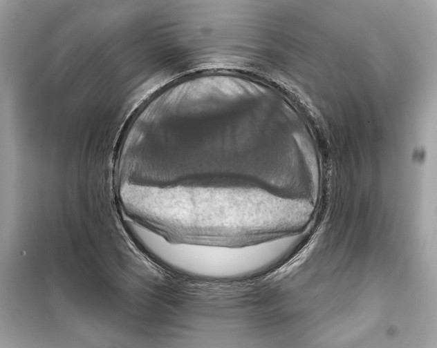 X0000098211121200805221621