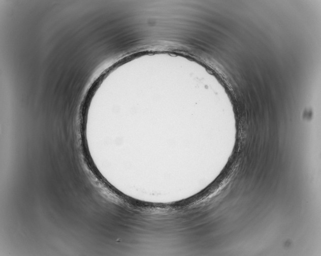X0000098211122200805221621
