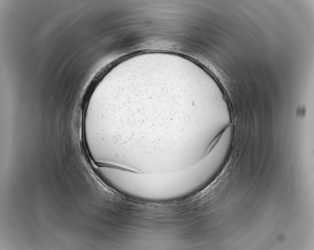 X0000098211123200805221621
