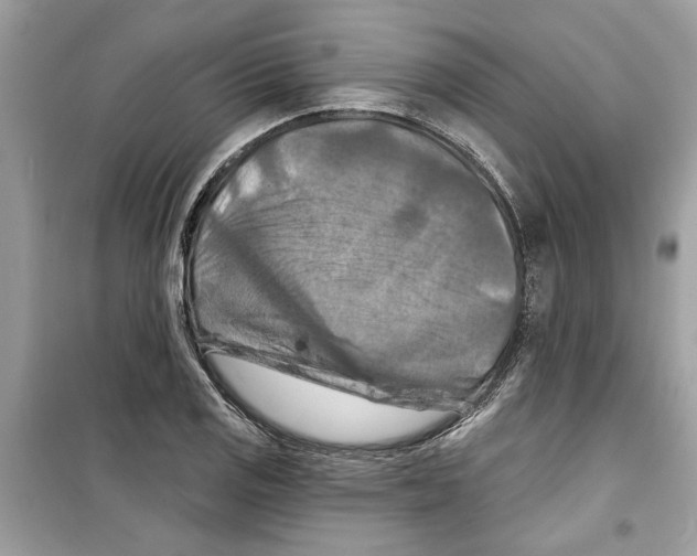 X0000098211125200805221621
