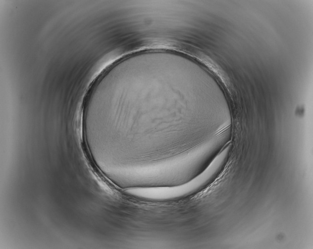 X0000098211127200805221621