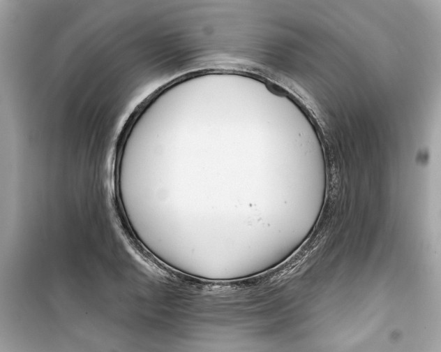 X0000098211128200805221621