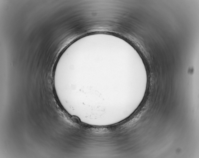 X0000098211129200805221621