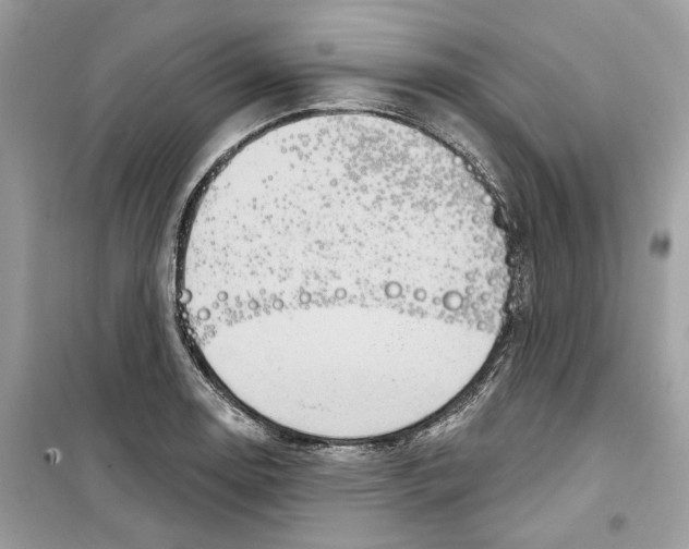 X0000098211130200805221621