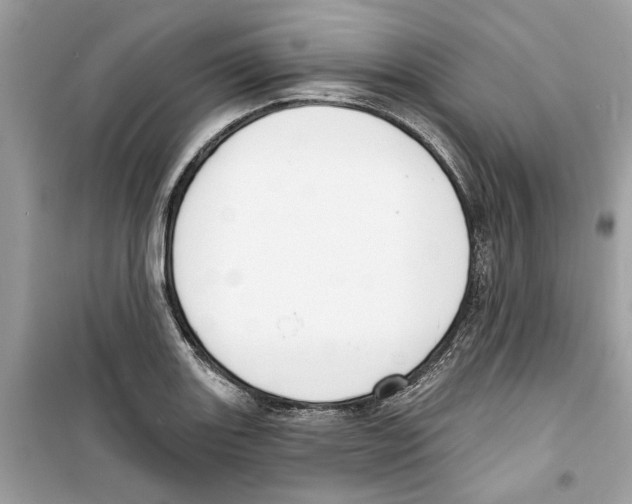 X0000098211131200805221621
