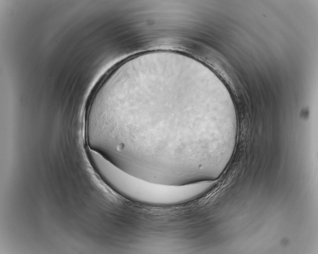 X0000098211132200805221621