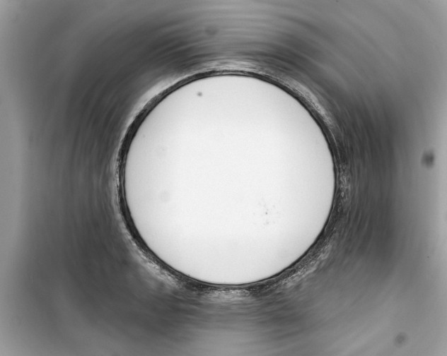 X0000098211133200805221621