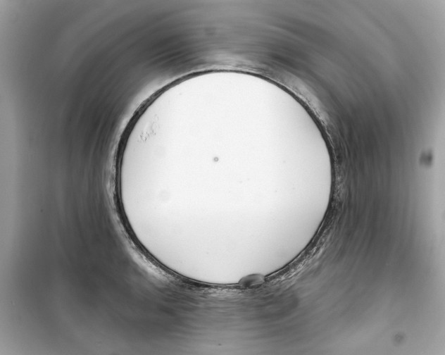 X0000098211136200805221621