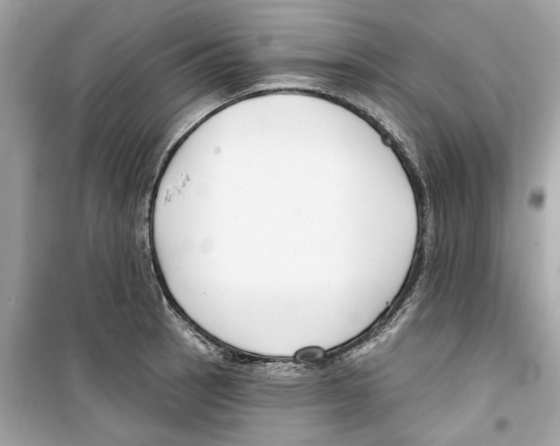 X0000098211137200805221621