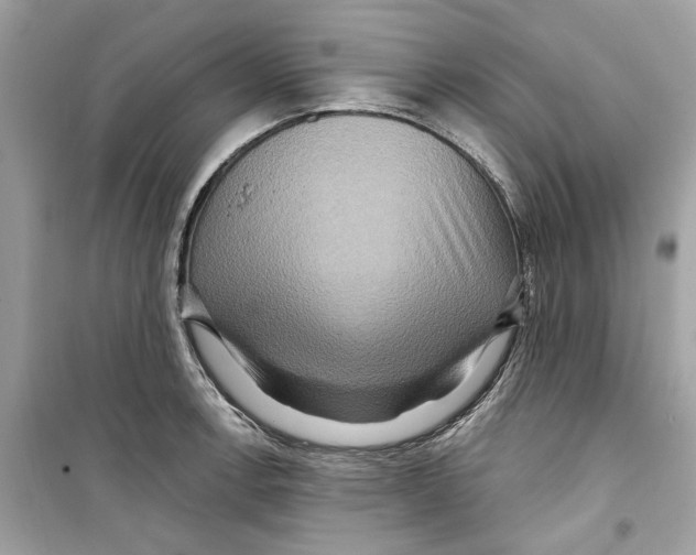X0000098211138200805221621