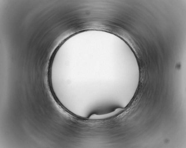 X0000098211139200805221621