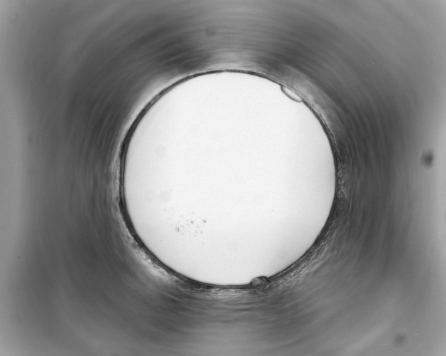 X0000098211140200805221621