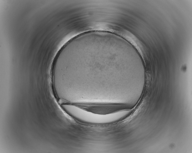 X0000098211141200805221621